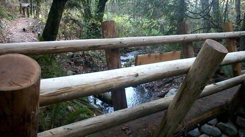 bcpgraphic's tweet image. The art of nature