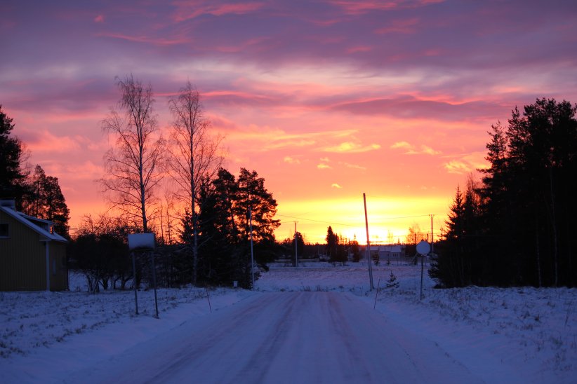 Good morning from Finland
¤
#sunrise in #winter - #nature #photo by Aku Eronen #blogger #travel #travelblogger