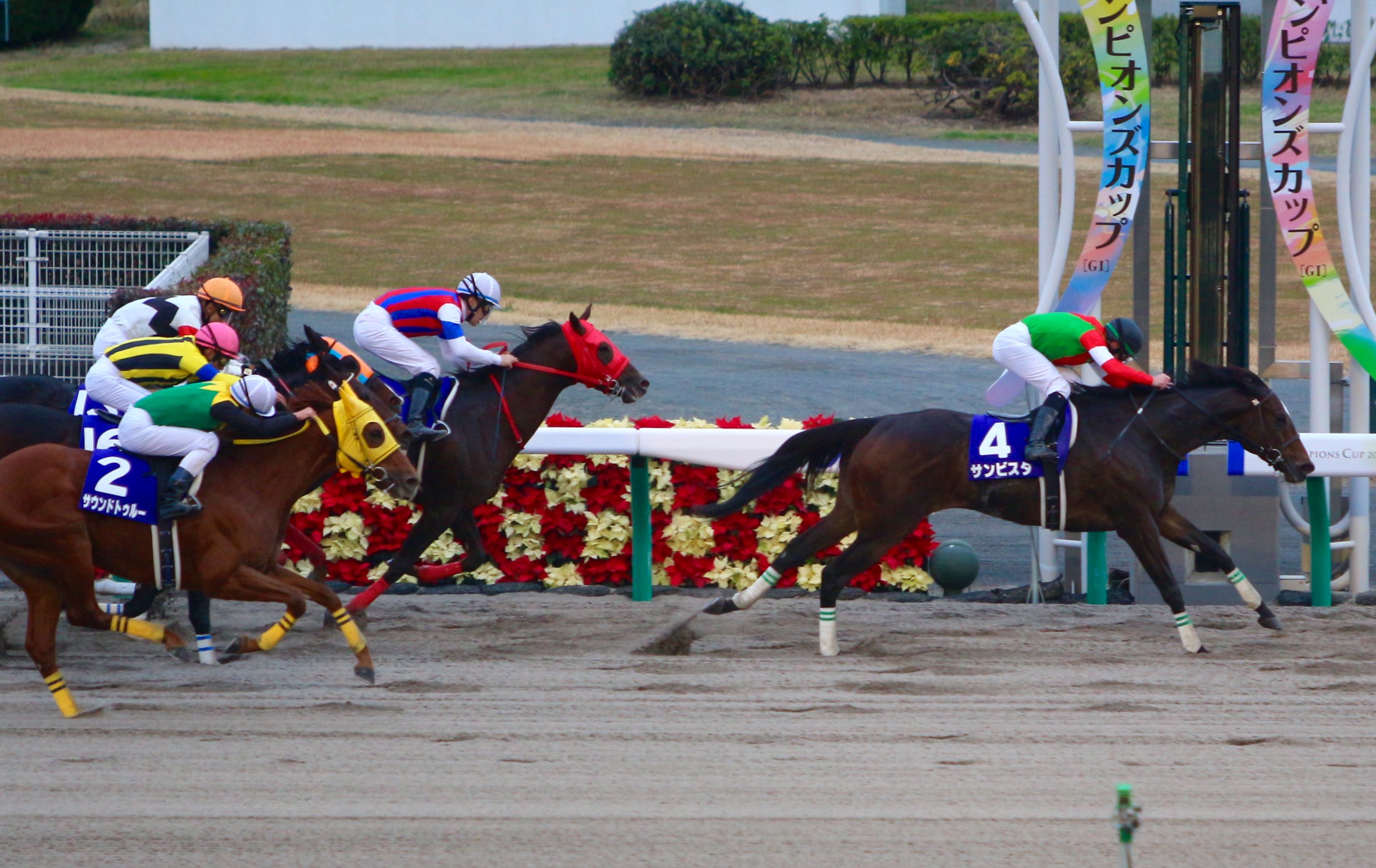 Jbc競走 Jra G 第16回チャンピオンズカップ 第14回までは ジャパンカップダート として施行 は 一昨年のjbcレディスクラシック 盛岡競馬 覇者 サンビスタが優勝しました T Co 4c2jh7dxeh T Co Vcmajtuzxq Twitter