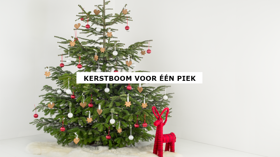 diefstal Correspondentie Hub IKEA Nederland on Twitter: "Steun lokale natuurprojecten met een kerstboom  voor één piek. https://t.co/19iIx2C8Qn https://t.co/MALZnNLgb7" / Twitter