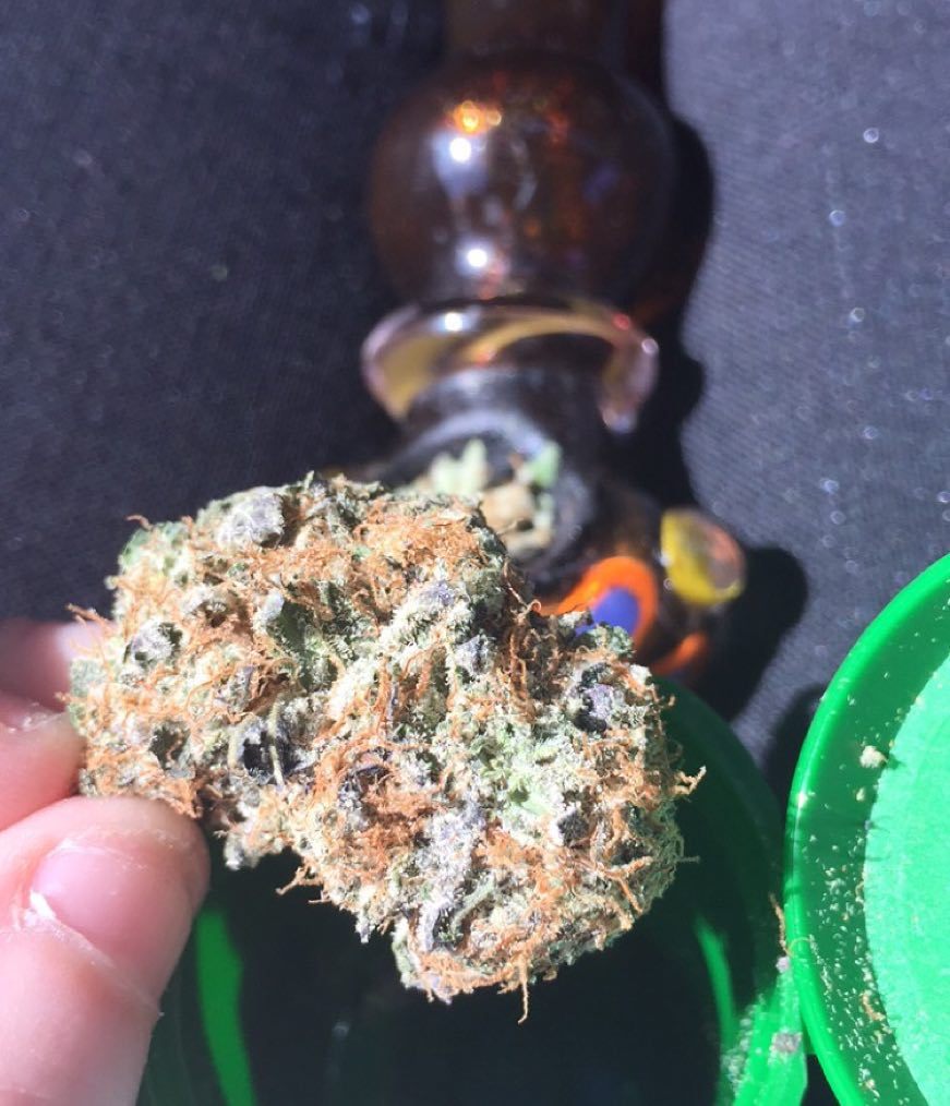 TeaganDaner's tweet photo. What you smokin on?
Hit us up for your medical delivery 😘
#nugrunner #delivery #cannabis #cannabiscommunity #cannab… https://t.co/IyrZSeAgjE