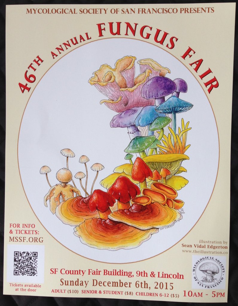 Shroomy cooking demo @ 10:30am <a href="/MushroomKingSF/">King of Mushrooms</a> <a href="/onochef/">Kelly Degala</a> <a href="/cookwithjames/">cookwithjames</a> <a href="/dbcooky/">dario barbone</a> <a href="/Larrymushroom/">Larry Evans</a>