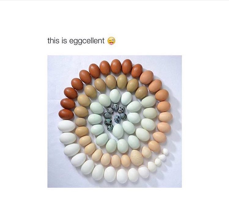 OCDPosting's tweet image. Oddly satisfying!