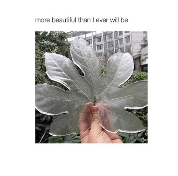 OCDPosting's tweet image. How did this not break!