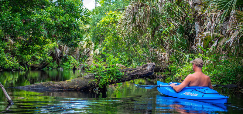 ActPlanetTravel's tweet photo. #HeyLets Load up your kayaks or rent a few from the State Park, the Juniper ... https://t.co/MtrAJZvAnz https://t.co/BLzSmfVzaI
