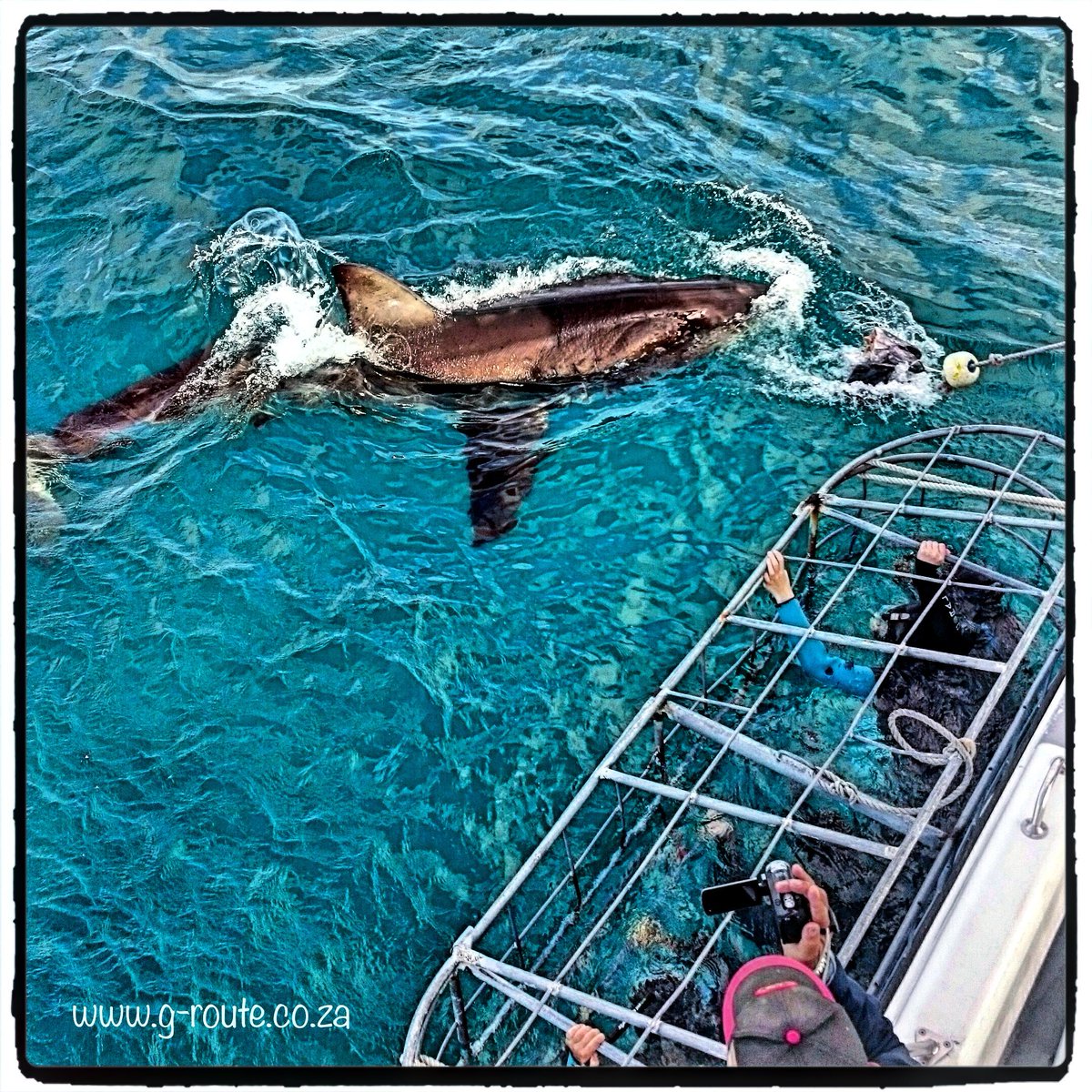 G-Route Adventures tweet media