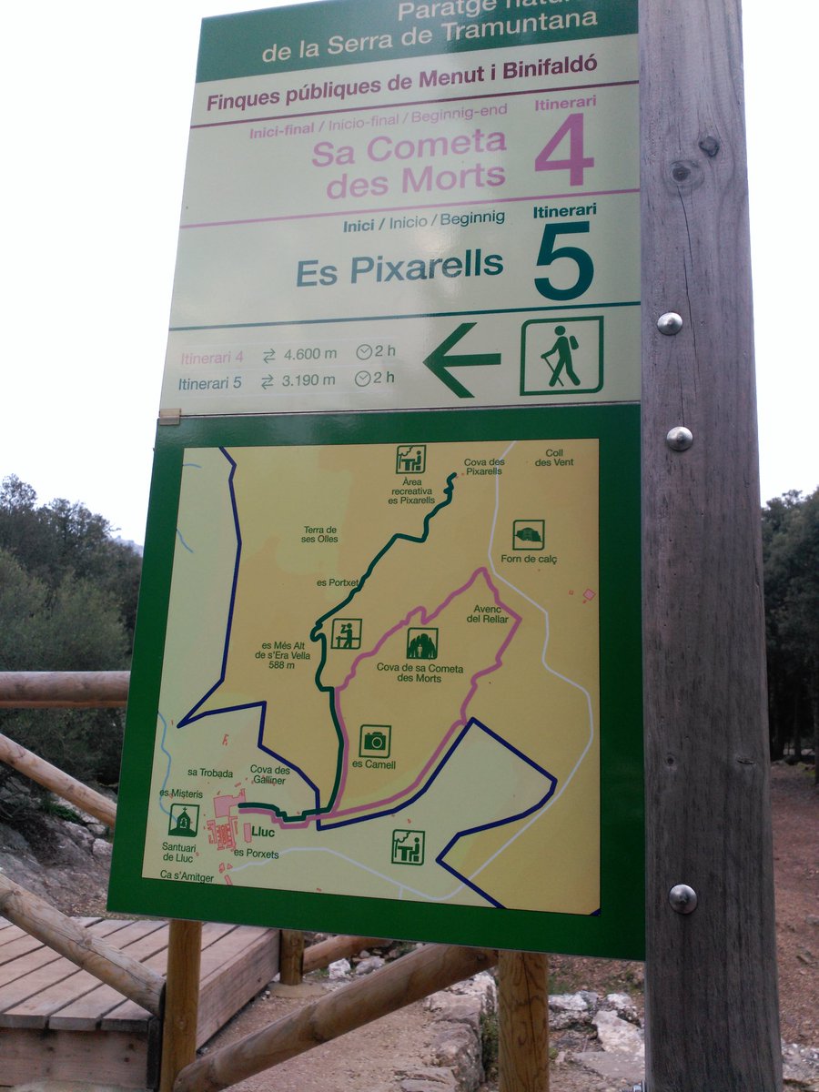 JoseFra84391381's tweet photo. Estupenda #excursión ayer hacia la cometa des morts en Lluc, finalizando con un poco de rapel @EscorcaViu . #afdcm https://t.co/8ok8MuedmO