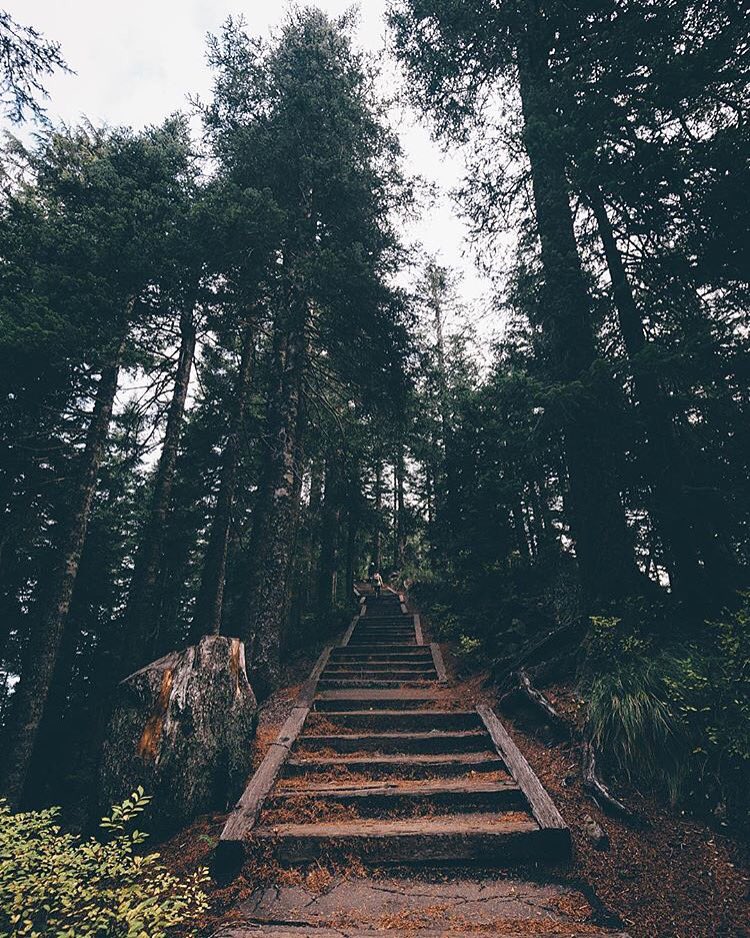 oregonnw's tweet photo. https://t.co/jLZ1rcWlnU
