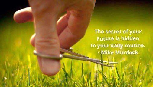 SanatThakkar's tweet image. The secret of your Future is hidden In your daily routine.
#MikeMurdock #quote  
🍀🍀🍀