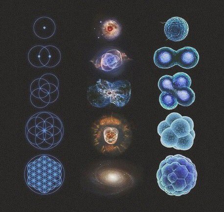 RawkC's tweet image. Love this. ⚛💜👍🏻 #sacredgeometry #GeometryInNature #Nucleus #Galaxy #Atoms