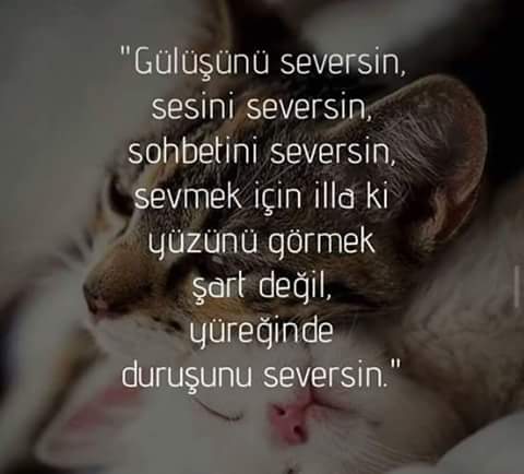Hilalloguz's tweet photo. Ben bugün de seviyorum seni sen yine yoksun https://t.co/niS5rg1X8F