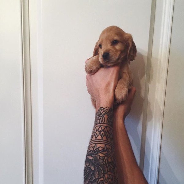 HashtagCuteness's tweet photo. Omg https://t.co/rDxfw3Sjso