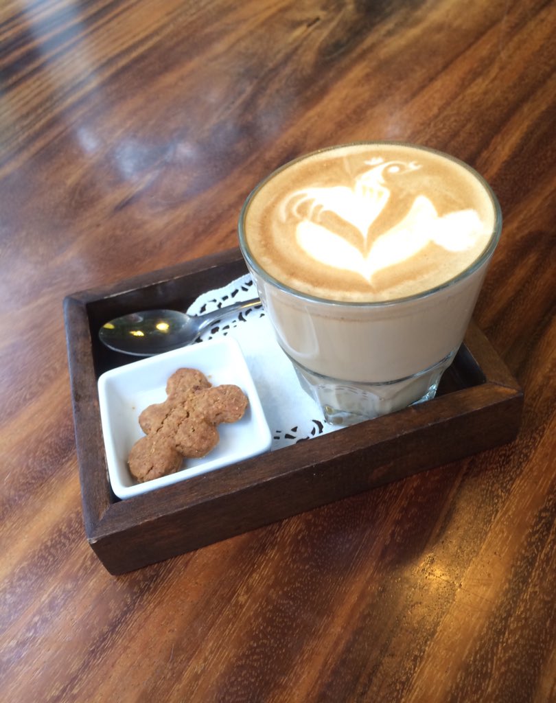 @missbeegogreen #missbeegogreen