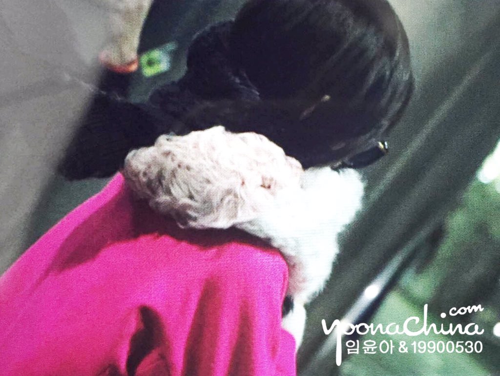 [PIC][06-12-2015]YoonA trở về Hàn Quốc vào chiều nay CViKS5tUwAAbWDp