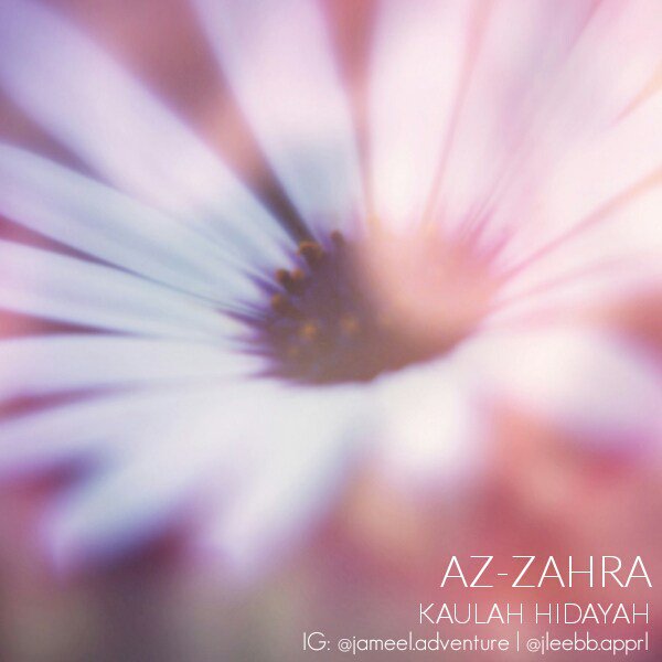 daionlineID's tweet photo. Fiksi: Azzahra – 1 https://t.co/MxFzJWvOBS https://t.co/yRK4mnuNZ3