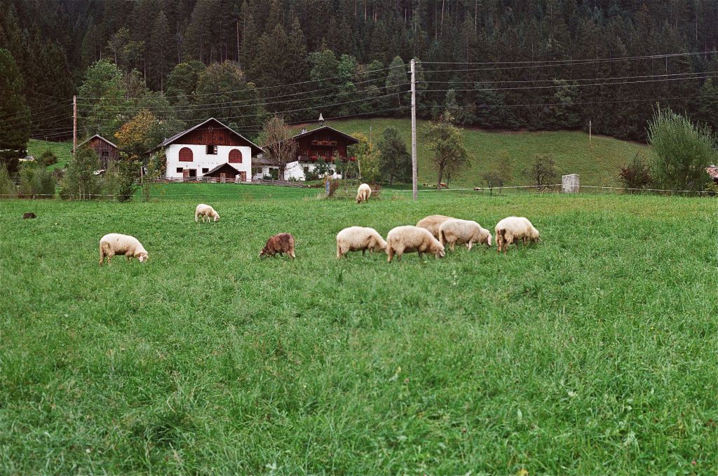 Molly Baker tweet media