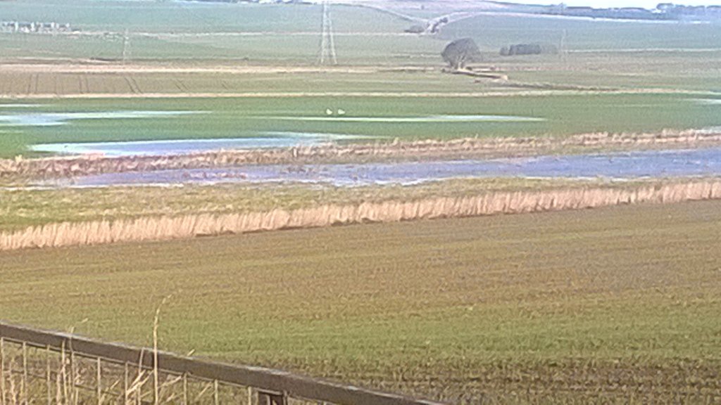 Boating lake's open!