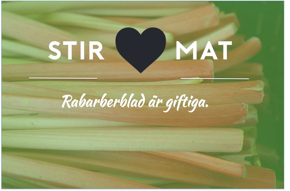 Stiritapp's tweet image. Trevlig söndag!