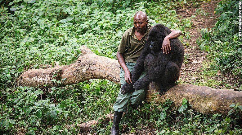 Pihanne's tweet photo. Courageous @gorillacd #rangers protecting #Virunga NP RT @jachapotgieter @GatelyMark https://t.co/iVbcSDpwWw … #DRC https://t.co/ScO6czzopf