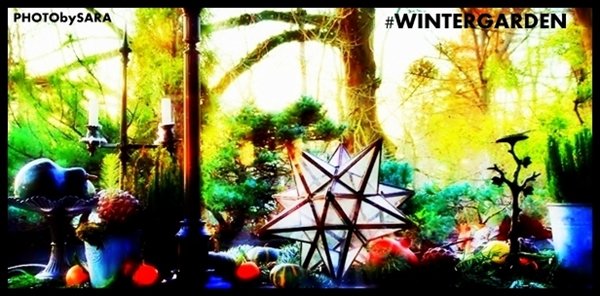 CITYGUIDEPARIS's tweet image. #WINTERGARDEN #PHOTObySARA
#CITYGUIDEPARIS
