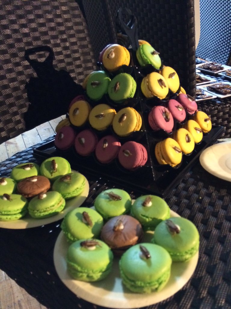 Iliaria's tweet photo. Insect Without Borders @Taste_Change #DCdays @IFADnews #AdaptNow https://t.co/mQhNET5mJi