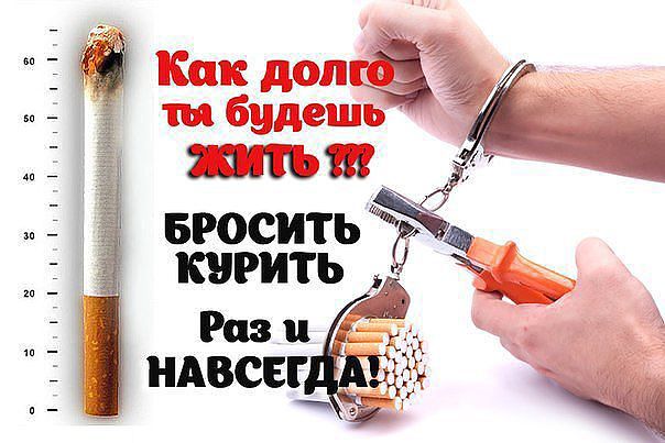 Картинки чипсами, как бросить курить картинки с надписями