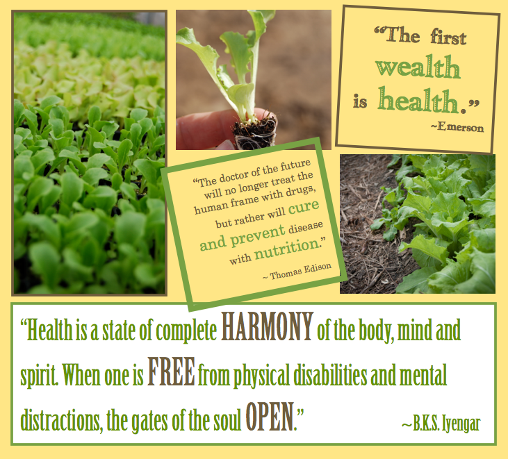 BoostWonderpark's tweet image. It's #SoulfulSunday! Give your body what it needs with a Boost Juice smoothie. Have a wonderful Sunday! #LoveFruits