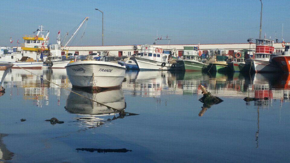 I'm at Marmara Ereğlisi balıkçı limanı swarmapp.com/c/gOlnIuVKyAE