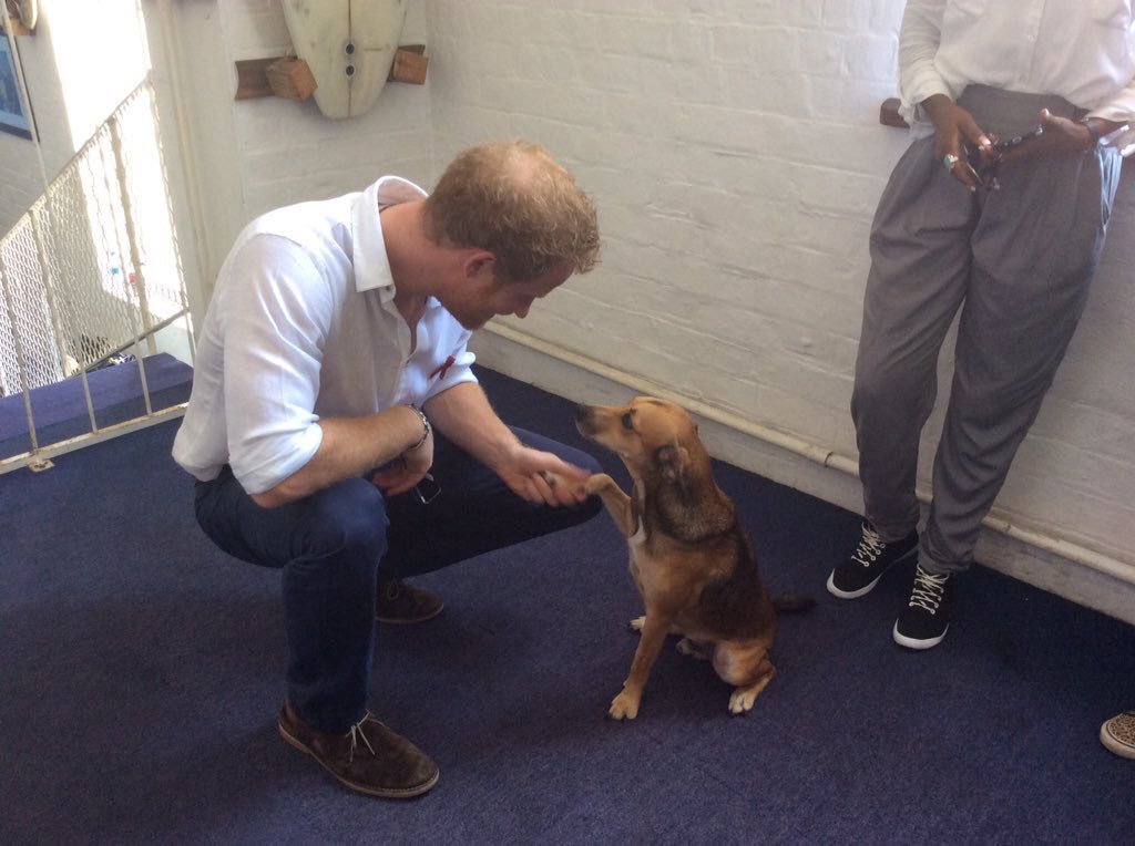 PaddySetter's tweet image. Who is that chap with my four-legged buddy?