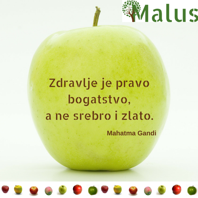 Malus_Olev's tweet photo. https://t.co/2potMD0XHZ