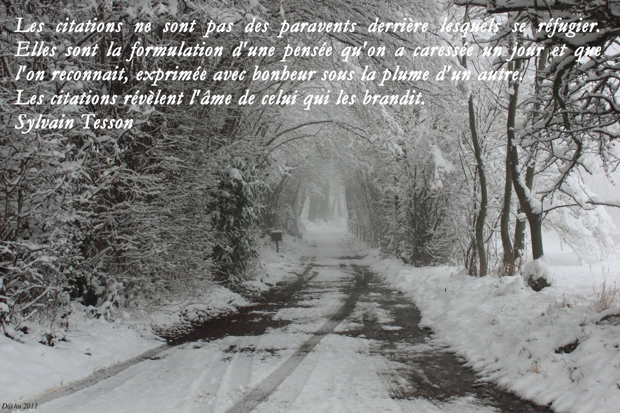 Le D Hu Voila Ma Citation Du Jour Bonne Soiree A Tous T Co Xe1rlxz0cx Le D Hu Voila Ma Citation Du Jour Bonne Soiree A Tous T Co Xe1rlxz0cx