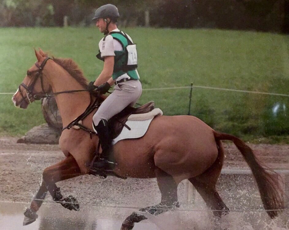 The beautiful 5YO FJARA placed 3rd in the 90cm today <a href="/horse_play/">WicksteadHorsePlay</a> Arena Eventing! This lovely mare is FOR SALE.
