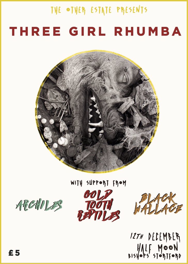 GOLD TOOTH REPTILES (@_g_t_r_) on Twitter photo 