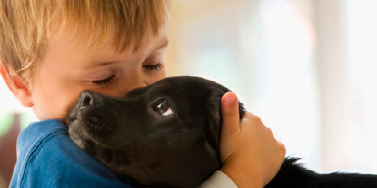 WebMD's tweet photo. Kids with dogs have lower risk of this mental health issue. https://t.co/LpUe67Dw7O #aw https://t.co/G6UqznHePg