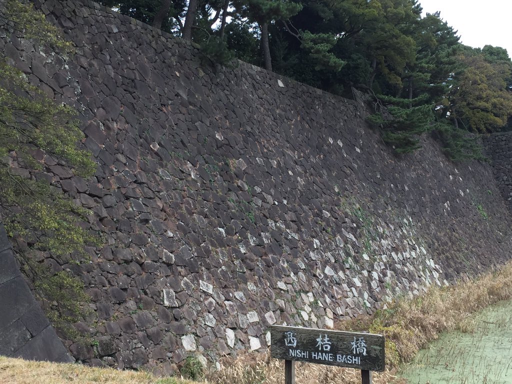 furuse_satoshi's tweet photo. 紅葉や松、宮内庁に警視庁騎馬隊と見所多数の皇居乾通り一般公開。石垣フェチの自分としては、太田道灌、藤堂高虎、加藤清正、彼らの思想、哲学を存分に享受した。やはり東京のシンボルとして江戸城再建計画は実現させてほしい。 https://t.co/mpVqKzf7H7