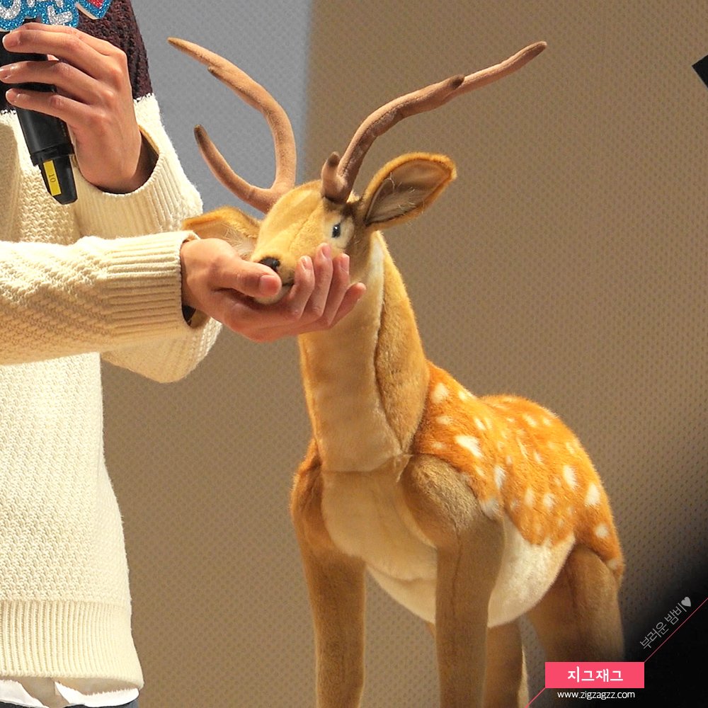 zigzag2j's tweet image. [HD-PIC] #이준팬미팅 : #세상에서가장부러운밤비님 #금수저로길러진밤비 #이준 cfile3.uf.tistory.com/image/25686A43…