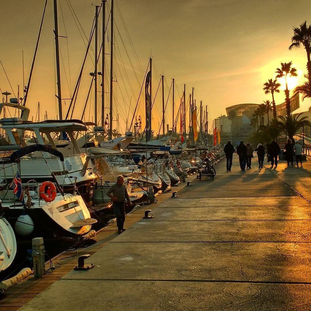 Jen_Carlsson's tweet photo. Wonderful setting sun https://t.co/rid2zGSRvx https://t.co/I18TTGviut