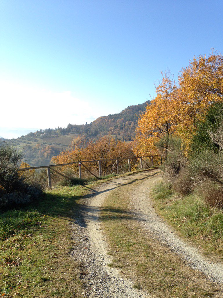 piadinara77's tweet photo. Ricordo di una bellissima passeggiata in solitaria #Brisighella #Rontana #parcoCarnè sempre grazie CAI!!! https://t.co/wPliL7SzXv