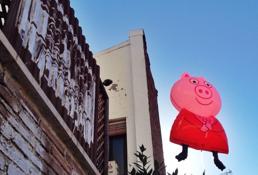 RaulGomez82's tweet photo. Peppa me observa desde las alturas!!! #mequiereintimidar #quemirada https://t.co/NlMwY9FrGX