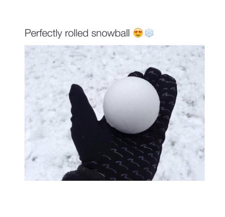 OCDPosting's tweet image. Snowballs 😍