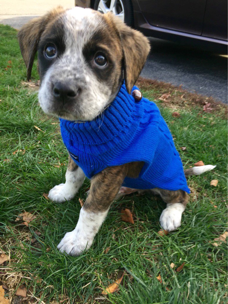 Lets go out and enjoy the day. XO