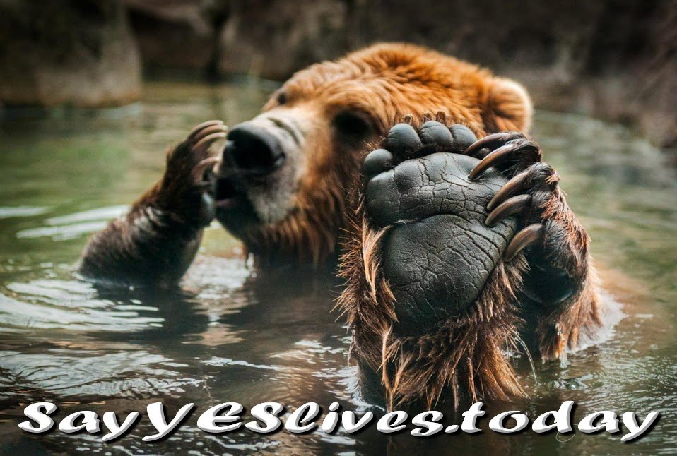 sayyeslives's tweet photo. SYL проект с уникальным маркетингом и невероятными возможностями... ПРИСОЕДИНЯЙТЕСЬ  https://t.co/T5Zrnm9BPm https://t.co/McxuRWrmB0