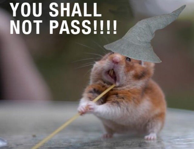 Þóra líffræði kennari í prófinu á morgun