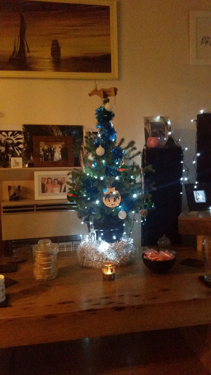 Ju_Xolo's tweet photo. Festive Fuzziness! We helped mum decorate the tree today! #exciting #dogs #mexicanpower #cute #christmastree https://t.co/vy3SVVM5hb