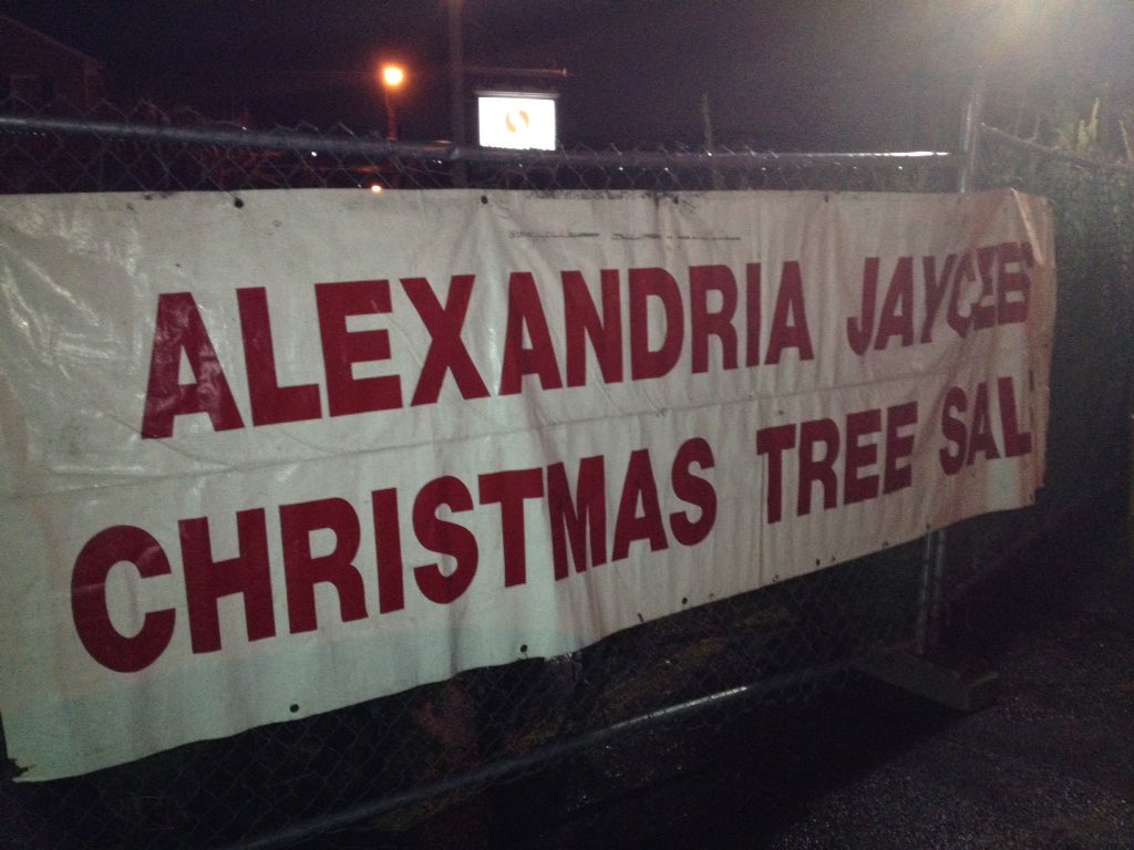#christmastrees #oldtownalexandria #safeway #alexandriava #christmas #hohoho