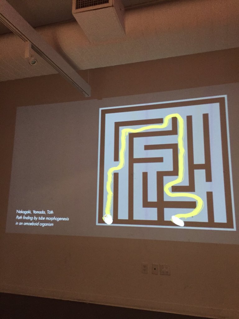 mr_tumnus's tweet image. slime log 3: with a little help from friends, I can solve mazes. my Intel is better than zero. #nodesnyc