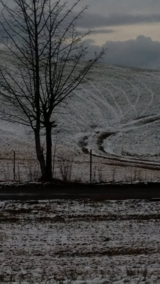 اللهم لك الحمد 

 #البرد_بكلمتين