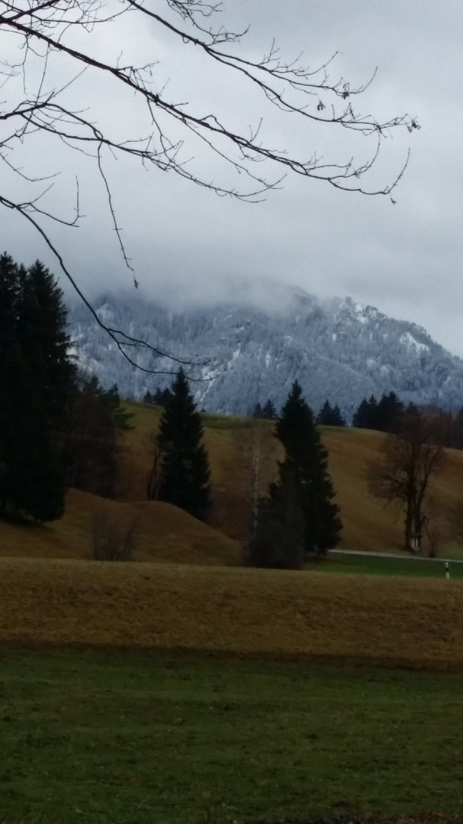 نعمة 
والحمدلله

 #البرد_بكلمتين