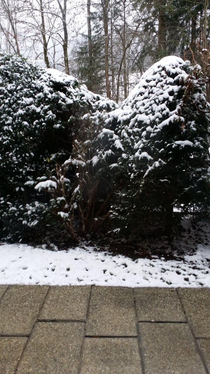 #البرد_بكلمتين

 الصورةمن خلف زجاج 
البلكونة وليس من العم 
قوووووووقل