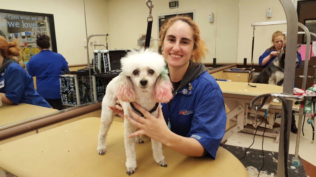 Coll5789's tweet image. Holiday pet expressions! My associate (= Brittany Vitrano -Salon1963 #njpetexpressions @Karen56273852 @CgorgaGorga